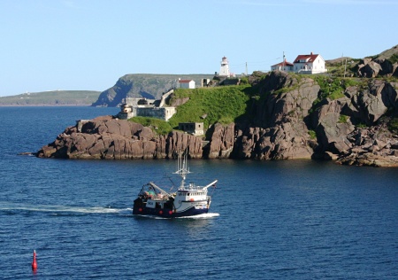 Fishing boat entering St. John's harbour